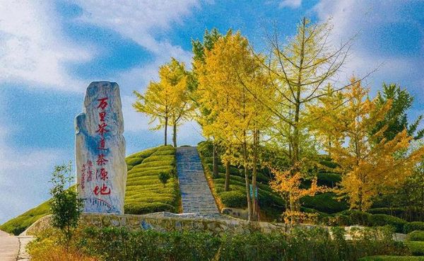 微信图片_20200427151622.jpg