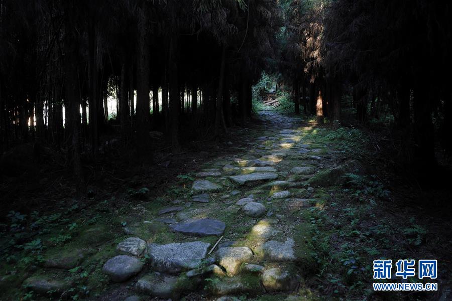 （社会）（1）四川荥经：修复茶马古道