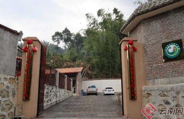 QQ截图20200615150911.jpg