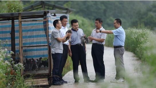 QQ截图20200716002752.jpg