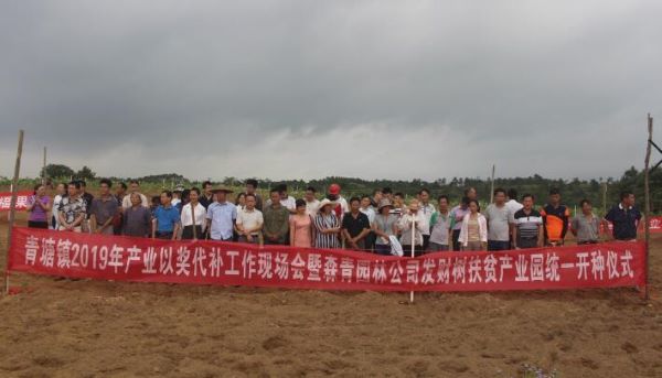 QQ截图20200802232927.jpg
