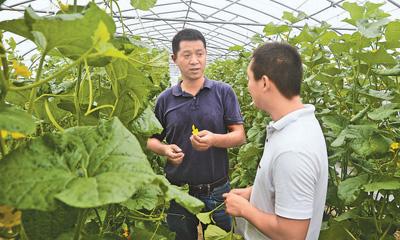 点击进入下一页