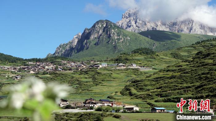 甘肃南部深山脱贫村“拍了拍”游客说：酒都酿好了
