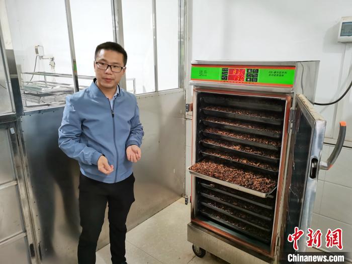 小黄精变成大产业助力湖南新化脱贫攻坚