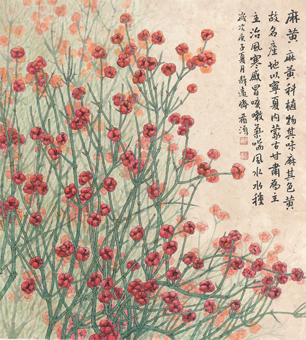董希源  《清肺排毒汤》组画之一 
