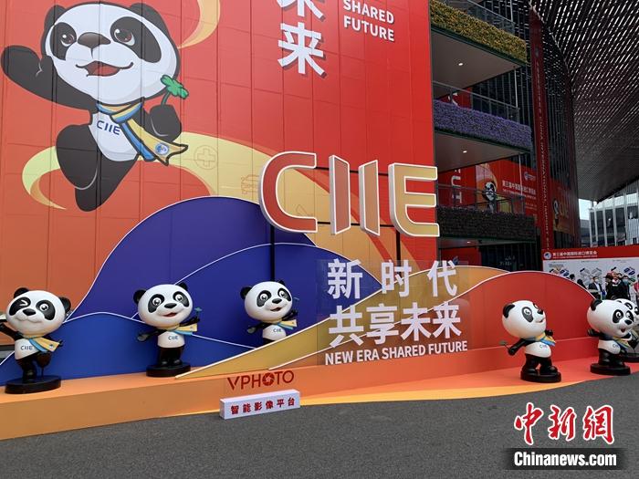 11月5日至10日，进博会在上海举行。<a target='_blank'  data-cke-saved-href='http://www.chinanews.com/' href='http://www.chinanews.com/' >中新网</a> 吴涛 摄