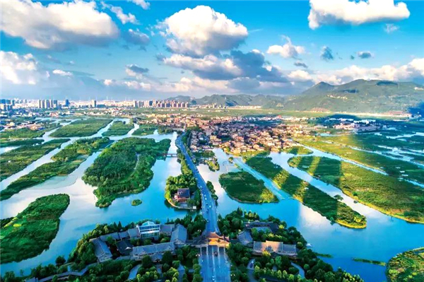 三垟湿地苏巧将/摄