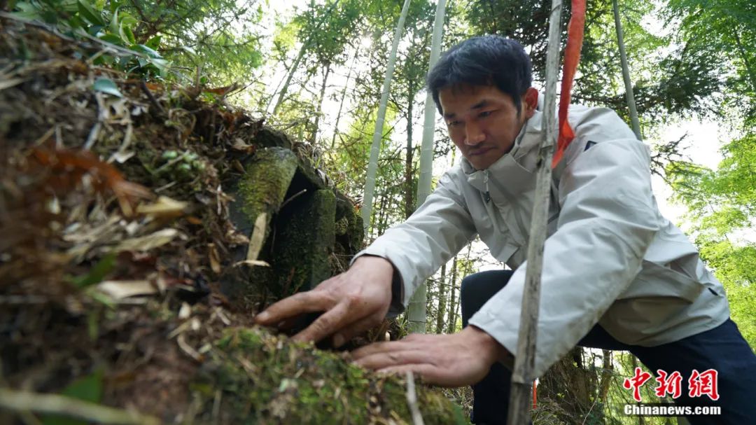 点击进入下一页