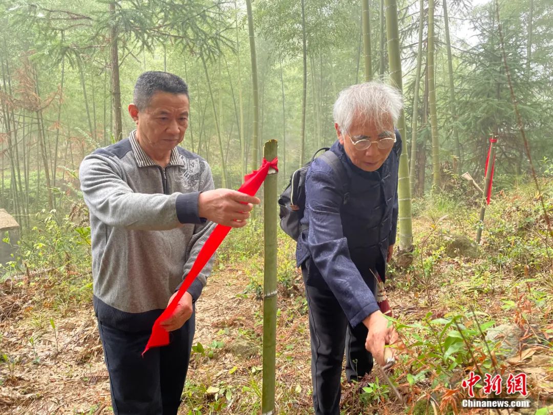 点击进入下一页