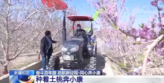 【奋斗百年路 启航新征程同心奔小康】新疆和田：种着土桃奔小康