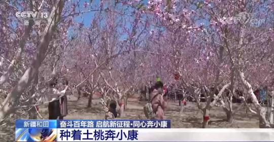 【奋斗百年路 启航新征程同心奔小康】新疆和田：种着土桃奔小康