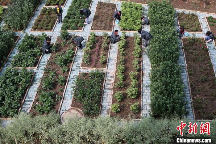 禄口第二小学依托“乐植劳动基地”开展一系列特色劳动教育活动，培养学生“辛勤耕耘”的劳动品质。　泱波 摄