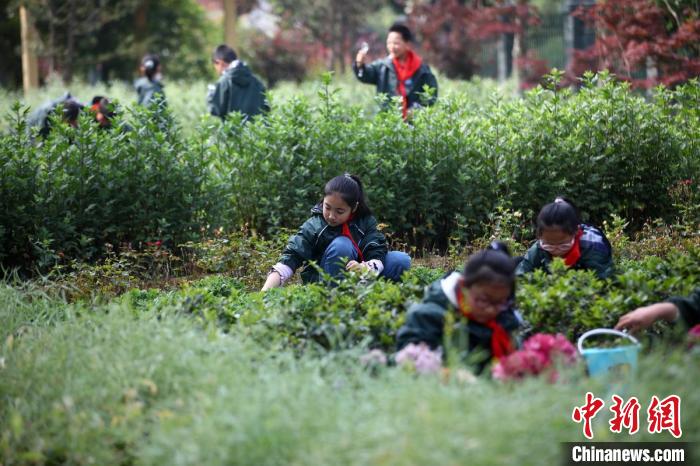孩子们在“纭耘花园”里忙碌。　泱波 摄