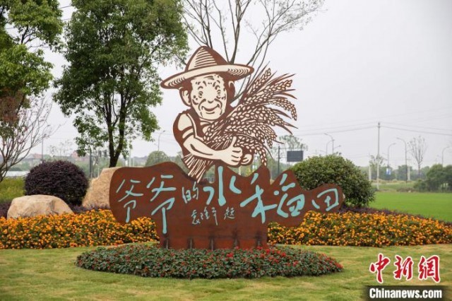 两岸学子相聚“爷爷的水稻田”守护水稻志愿团成立