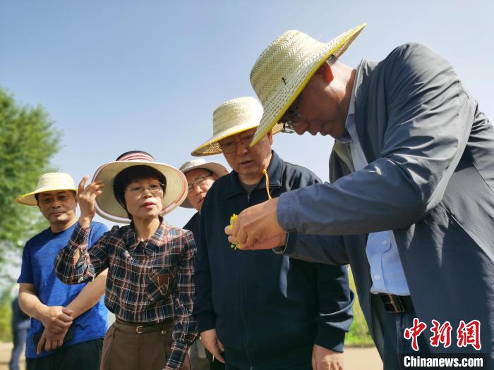 图为青海省政协主席公保扎西(右二)调研现场。　张添福 摄