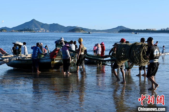 铜砵村村渔民在海边捕鱼。　张金川 摄